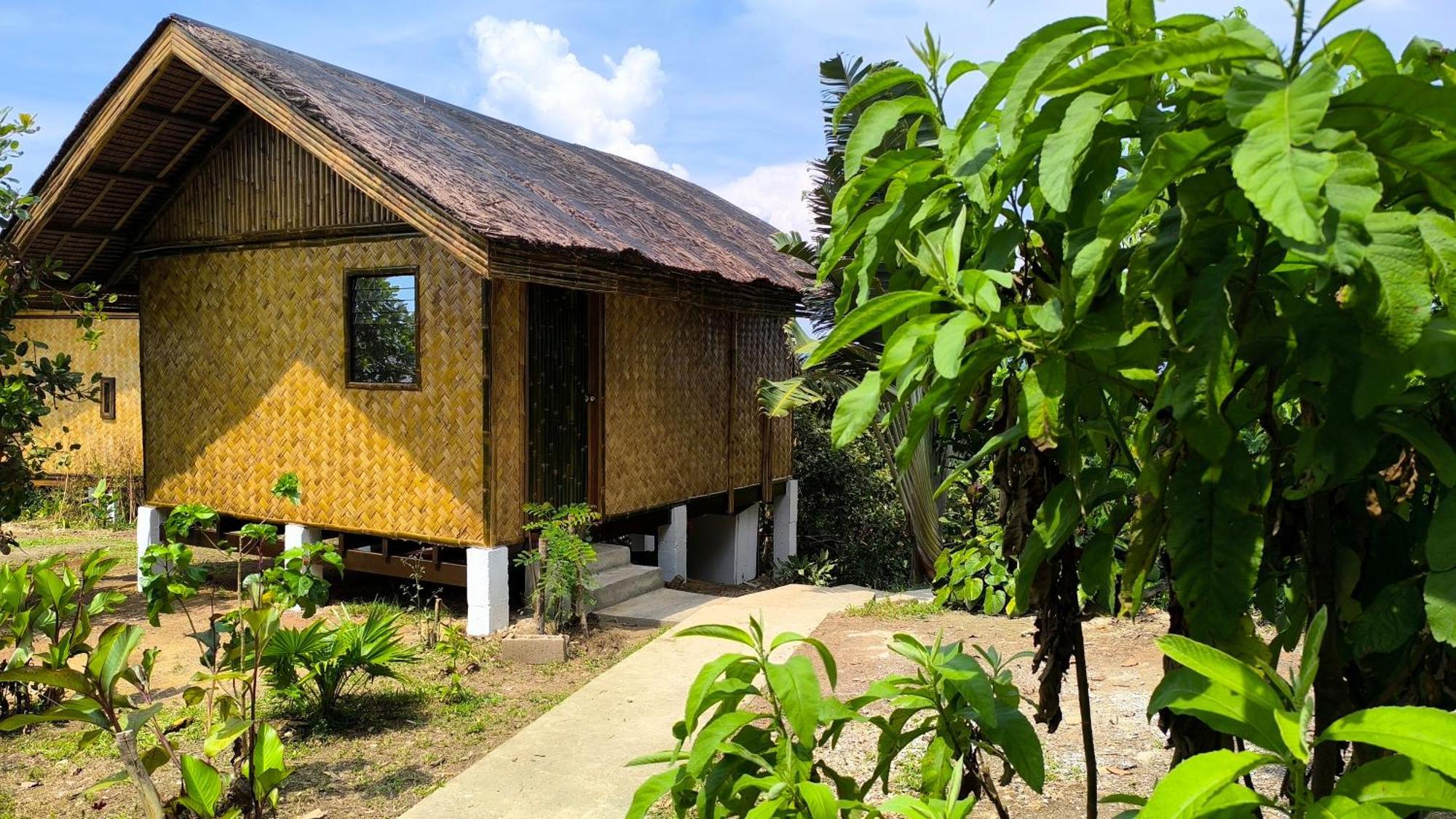 Ocean Green Eco Lodge Puerto Princesa Esterno foto